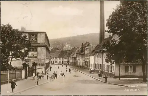 Ansichtskarte Rosswein/ Roßwein Straßenpartie - am Werder - Fabrik 1928 