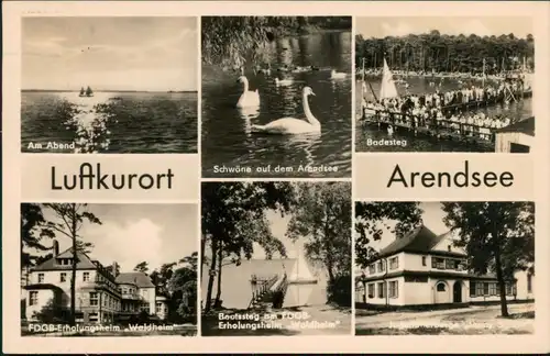 Arendsee (Altmark) Arendsee, Schwäne, Badesteg,   Jugendherberge 1966