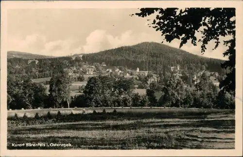 Bärenfels (Erzgebirge)-Altenberg (Erzgebirge) Blick auf den Ort 1956