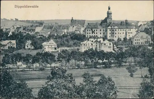 Ansichtskarte Dippoldiswalde Blick auf die Stadt 1924 