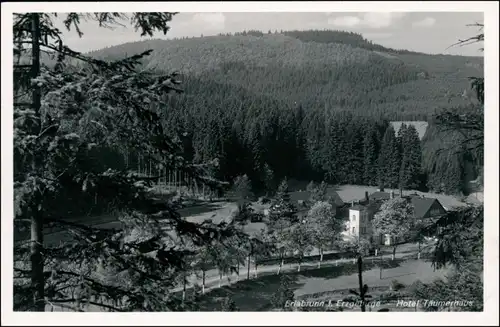 Erlabrunn-Breitenbrunn (Erzgebirge) Blick auf das Hotel Träumerhaus 1936 