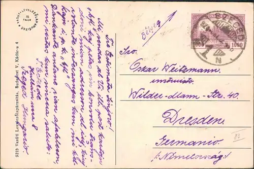 Postcard Szegedin Segedin | Seghedin | Сегедин Klauzal ter 1924 