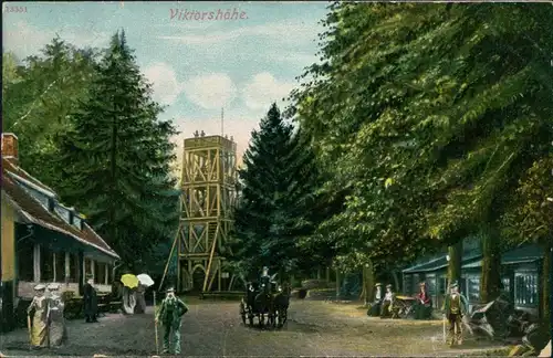 Ansichtskarte Friedrichsbrunn Partie an der Viktorshöhe 1911 