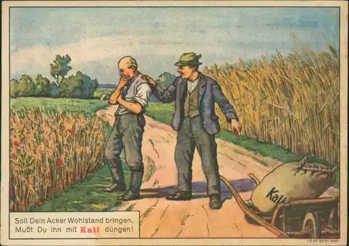 Ansichtskarte  Werbekarte Landwirtschaft Kali Düngung 1928 