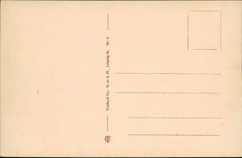 Ansichtskarte Altenburg Großer Teich mit Insel 1922