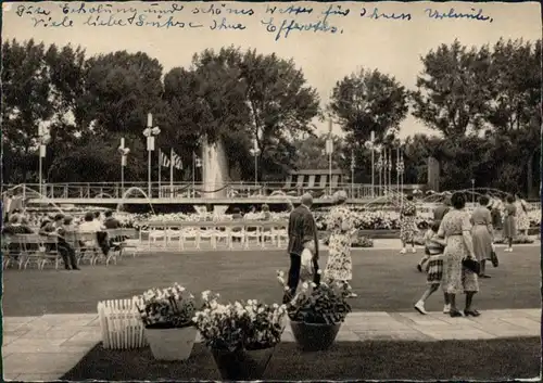 Ansichtskarte Köln Tanzbrunnen im Rheinpark 1956