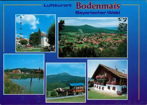 Ansichtskarte Bodenmais Kuranlagen, Panorama, See, Pferdekutsche, Haus 1996