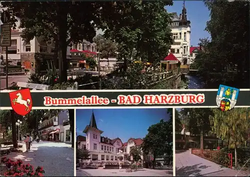 Ansichtskarte Bad Harzburg Bummelallee 1981