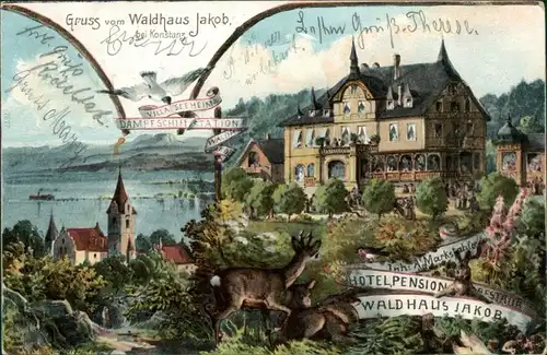 Ansichtskarte Konstanz ehrbild Künstlerkarte Waldhaus Jakob 1908 