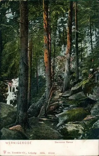 Ansichtskarte Wernigerode Partie an der steinernen Renne 1905 
