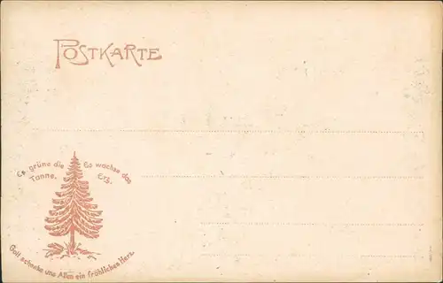 Ansichtskarte Wernigerode Partie an der steinernen Renne 1905 