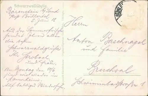 Baden-Württemberg Schwarzwaldidylle Künstlerkarte signiert , Gänse am Bach 1918