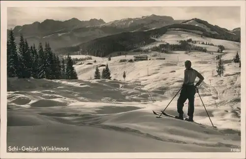 Ansichtskarte Reit im Winkl Schi-Gebiet, Skiläufer - Winklmoos 1929 