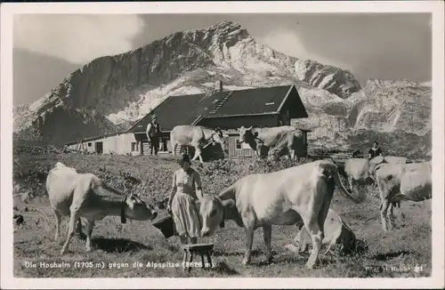 Ansichtskarte Garmisch-Partenkirchen Die Hochalm - Kühe Bäuerin 1932 
