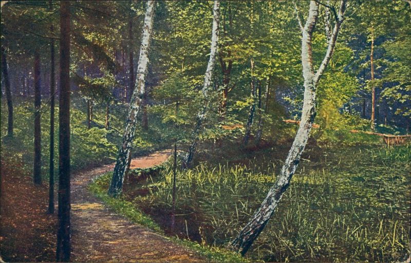 Dresdner HeideDresden Dresdener Heide, die Stadt und Elbe