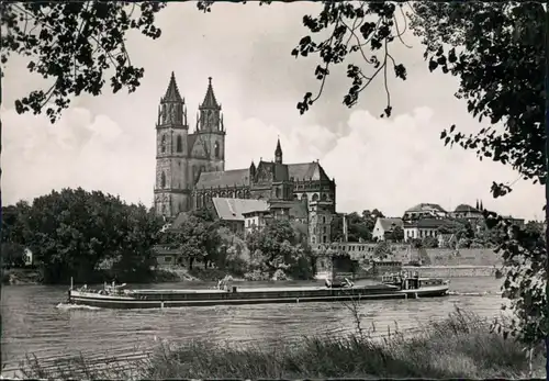 Ansichtskarte Altstadt-Magdeburg Dom, Elbe mit Schlepper 1958