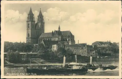 Ansichtskarte Magdeburg Schauffelraddampfer cor dem Dom 1936 