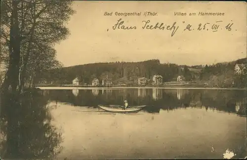 Ansichtskarte Georgenthal (Thüringen) Villen am Hammersee 1917 