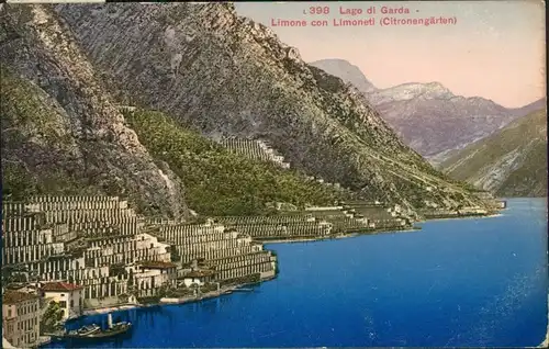 Cartoline Riva del Garda Zitronengärten 1913 