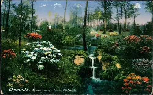 Ansichtskarte Chemnitz Alpenrosen-Partie im Küchwald 1914 