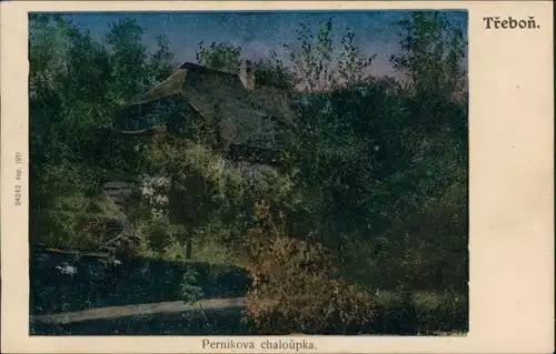 Postcard Třeboň Pernikova chaloůpka 1911 Silber-Effekt