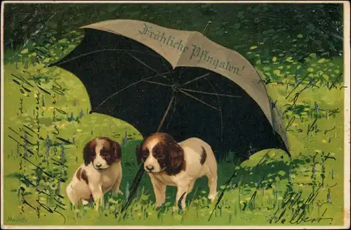 Ansichtskarte  Künstlerkarte Hunde unter dem Regenschirm - Pfingsten 1904 