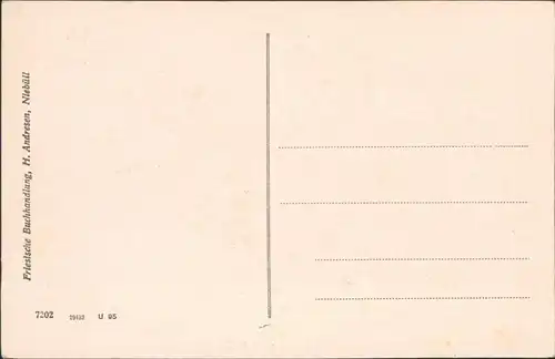 Ansichtskarte Niebüll Partie am Fangweg 1924 