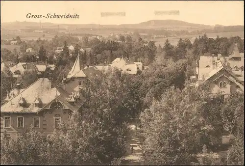 Ansichtskarte Großschweidnitz (OL) Swóńca Blick in die Straße 1913 
