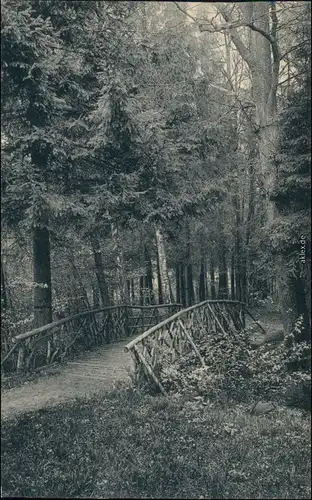 Großschweidnitz (OL) Swóńca Kgl. Landesanstalt - Park 1913 