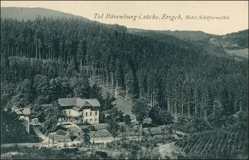 Ansichtskarte Oberbärenburg-Altenberg (Erzgebirge) Hotel Schäfermühle 1913 
