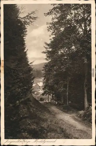 Ansichtskarte Sayda Weg zur Jugendherberge Mortelgrund 1935 