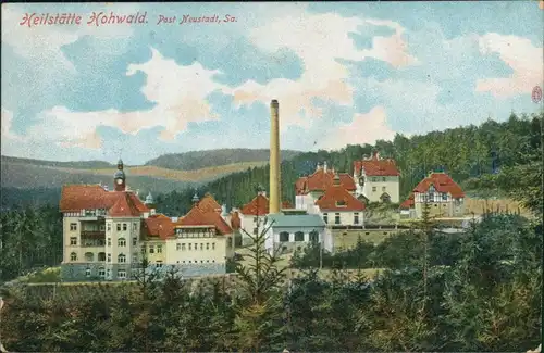Ansichtskarte Hohwald (Sachsen) Partie an der Heilstätte 1910 