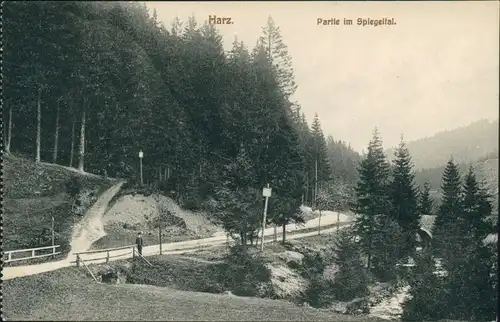 Ansichtskarte Hahnenklee-Bockswiese-Goslar Weg - Partie im Spiegeltal 1913 