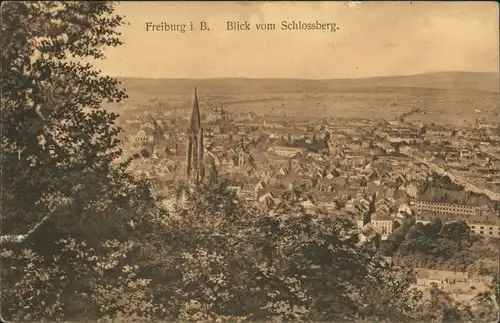 Ansichtskarte Freiburg im Breisgau Blick vom Schloßberg 1914 