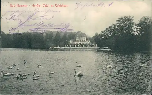 Ansichtskarte Bad Nauheim Großer Teich mit Teichhaus 1916 