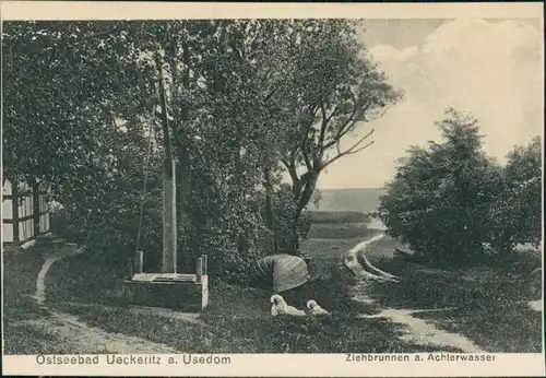 Ansichtskarte Ückeritz (Usedom) Ziehbrunnen am Achterwasser 1913 
