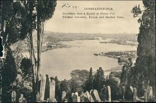 Istanbul  Constantinople Turkish Cimetery an golden Horn 1918