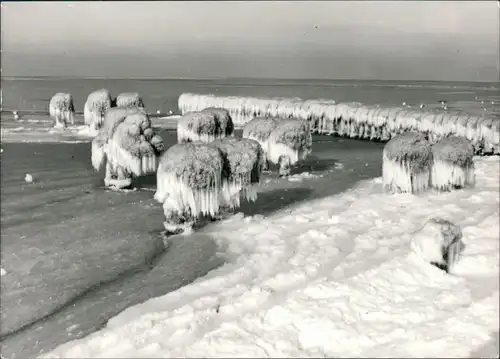 Ansichtskarte Graal-Müritz Winter an der Ostsee 1968