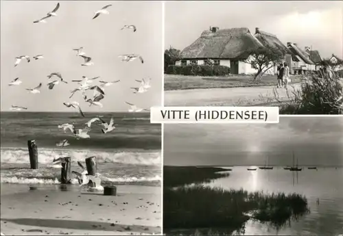 Vitte-Hiddensee Hiddensjö, Hiddensöe Strand, Möwen, Schilfhäuser, Boote 1977