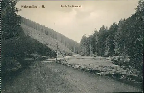 Ansichtskarte Hahnenklee-Bockswiese-Goslar Partie im Granetal 1912 