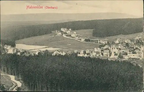 Ansichtskarte Hahnenklee-Bockswiese-Goslar Blick auf die Stadt 1908 
