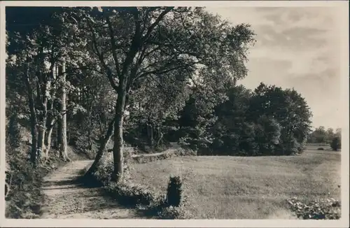 Ansichtskarte Emmingen-Soltau Weg im Böhmewald 1932 