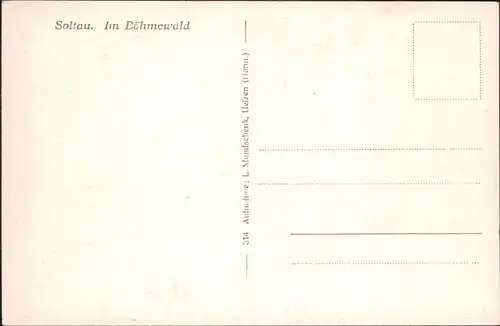 Ansichtskarte Emmingen-Soltau Weg im Böhmewald 1932 