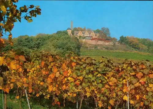 Sankt Martin (Pfalz) Kropsburg - Kropfsegg an der Deutschen Weinstraße 1991