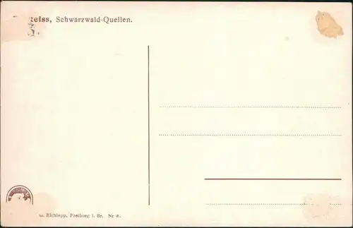 _Baden-Württemberg Allgemein Schwarzwaldquellen - Künstlerkarte Reiss 1915 