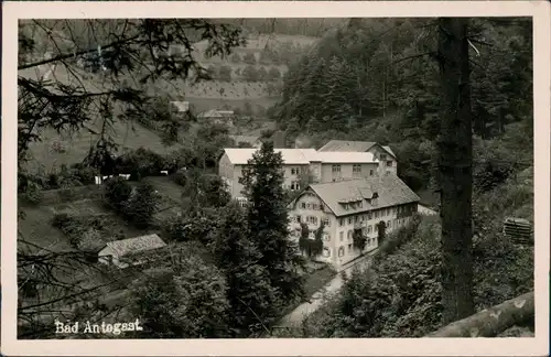 Ansichtskarte Bad Antogast Blick auf den Ort 1953 