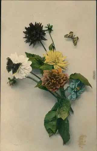 Ansichtskarte  Naturfarben, Realismus: Blumen 1909 