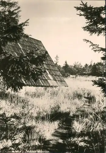 Zinnwald-Georgenfeld-Altenberg (Erzgebirge) Georgenfelder Hochmoor 1979