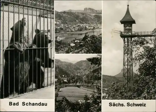 Ansichtskarte Bad Schandau Krippen, Fahrstuhl, Bären im Zwinger 1978