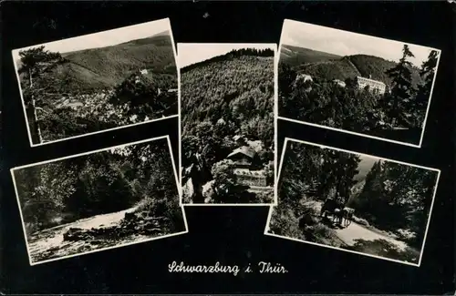 Ansichtskarte Schwarzburg Panorama, Fluss, Hütte, Kutsche 1959